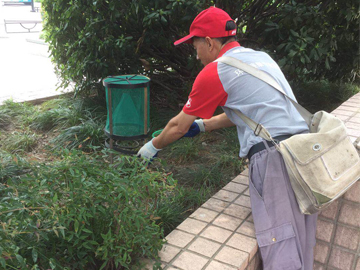 常州外圍綠化滅蚊現場