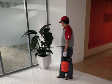 南京辦公樓滅蚊蠅現場
